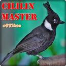 Cililin Master Offline APK