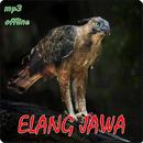 Elang Jawa Master APK