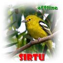 Kicau Sirtu Offline APK