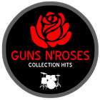 Guns N Roses Collection Hits-icoon