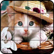 Puzzle de Chats