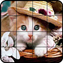 Quebra-Cabeça Gatos APK