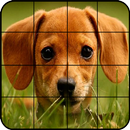 Quebra-Cabeça Cachorros APK