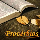 Provérbios Bíblicos ícone
