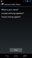 Cebuano Public Affairs Phrases capture d'écran 2