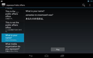 Japanese Public Affairs screenshot 2