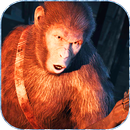 APK Guide For -Planet Of The Apes: Last Frontier-