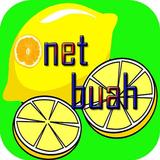 Onet buah:fruit classic icon