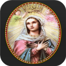Virgen Maria Live Wallpaper APK