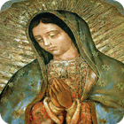 Oracion a la Virgen de Guadalupe ícone