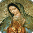 Oracion a la Virgen de Guadalupe en Audio