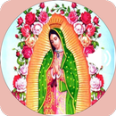Mañanitas Guadalupanas En Audio APK