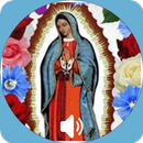 Mañanitas A Virgen de Guadalupe con Audio APK