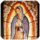 Novena A Nuestra Virgen De Guadalupe APK