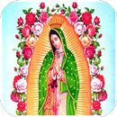 Novena a la Virgen de Guadalupe 8 de Diciembre APK