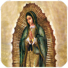 Virgen De Guadalupe Para Iluminar 2-icoon