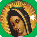 Santa Maria Guadalupe Oracion En Audio APK