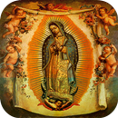 Virgem De Guadalupe Belas Imagens APK