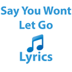Say You Wont Let Go Lyrics