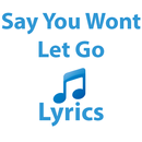 APK Say You Wont Let Go Lyrics