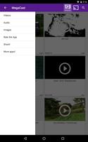 MegaCast Roku screenshot 2