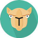 Learn Perl APK