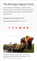 Rohingya Crisis Screenshot 3