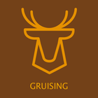 Cruising icon
