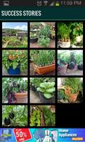2 Schermata Roof Garden (Grow Vegetables)