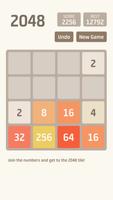 2048 Plakat