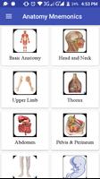Anatomy Mnemonics الملصق