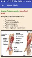 Anatomy Mnemonics تصوير الشاشة 1