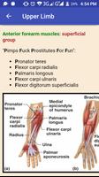 Anatomy Mnemonics capture d'écran 1