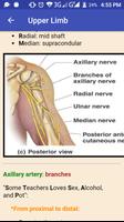 Anatomy Mnemonics تصوير الشاشة 2