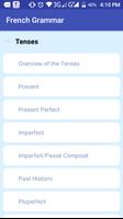 Basic French grammar (Offline) تصوير الشاشة 1