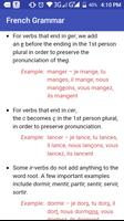 Basic French grammar (Offline) تصوير الشاشة 3