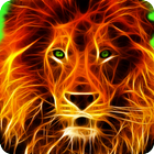 3D Animal Lion Wallpapers HD 2017 图标