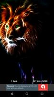 3D Animal Lion Wallpapers HD 2017 截图 3