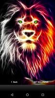 3D Animal Lion Wallpapers HD 2017 海报