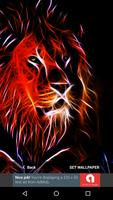 3D Animal Lion Wallpapers HD 2017 截图 1