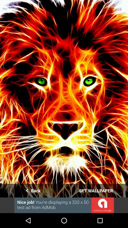 Lion Wallpapers Wallpaper Cave