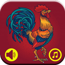Rooster Sounds and Tones 🔊🎶🔔 APK