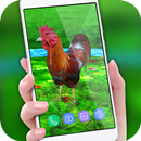 Horoz Kaçış canlı olarak duvar kağıdı Kaçış arka APK