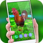 Rooster Escape Live Wallpaper : Birds Backgrounds icon