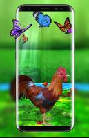 Rooster Escape Live Wallpaper : Birds Backgrounds screenshot 3