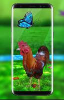 Rooster Escape Live Wallpaper : Birds Backgrounds screenshot 1