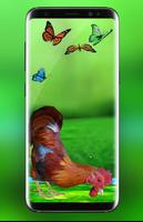 Rooster Escape Live Wallpaper : Birds Backgrounds screenshot 2