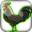 ”rooster sounds and ringtones