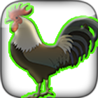 rooster sounds and ringtones आइकन