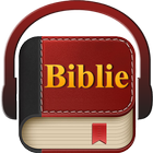 Biblia în limba română 圖標